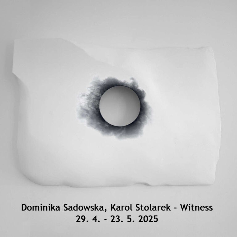 Dominika Sadowska, Karol Stolarek