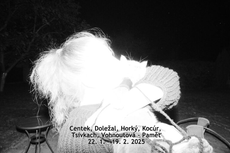 Lukáš Centek, Matyáš Doležal, David Horký, Matej Kocúr, Oleksandra Tsivkach, Johanka Vohnoutová