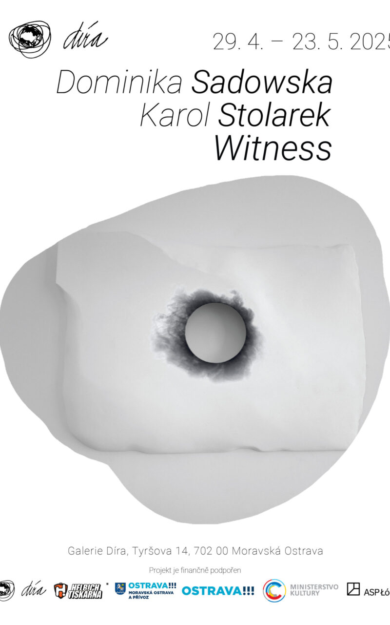 Dominika Sadowska a Karol Stolarek / Witness