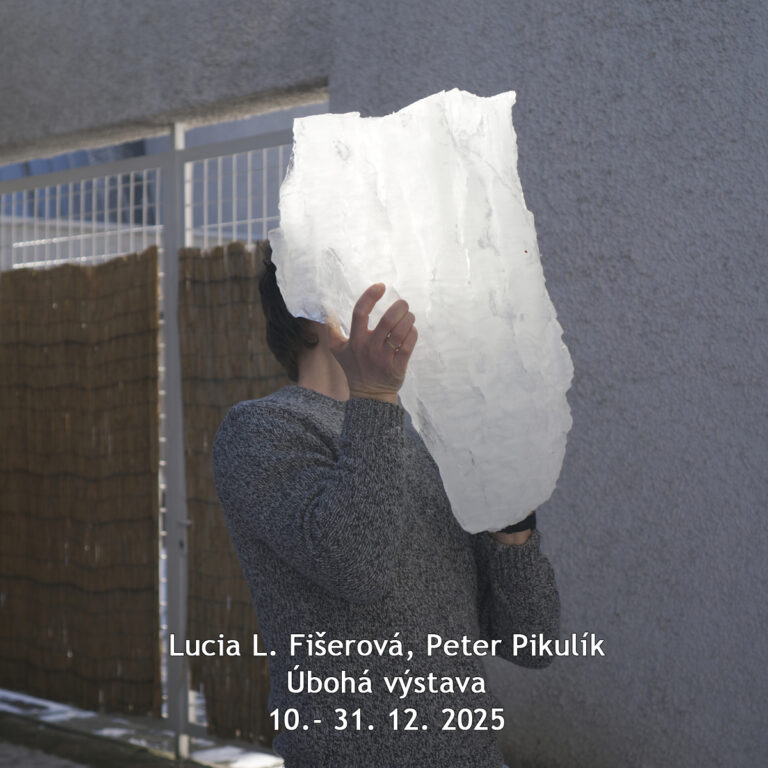 Lucia L. Fišerová, Peter Pikulík