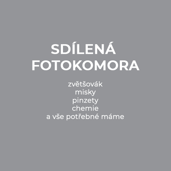Sdílená fotokomora